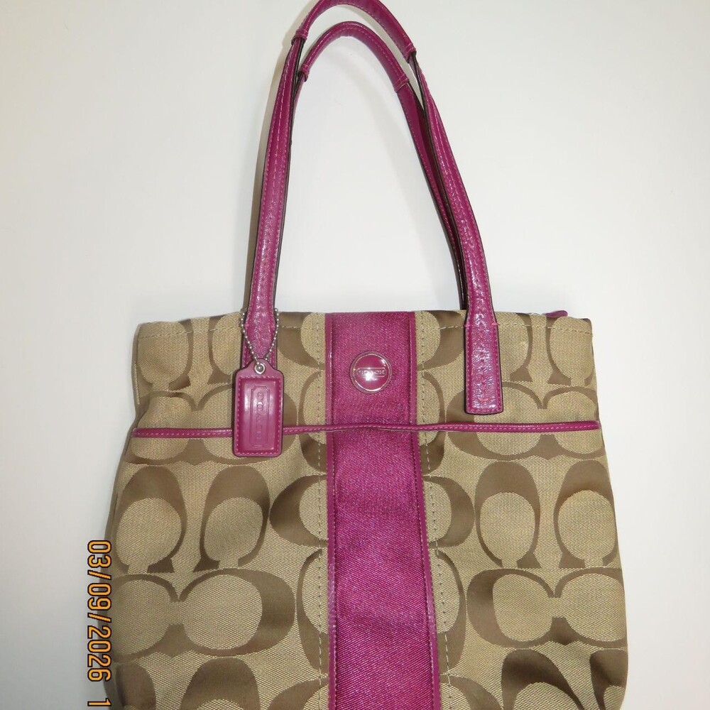 Coach Signature Stripe 12 Cm Carryall E 101